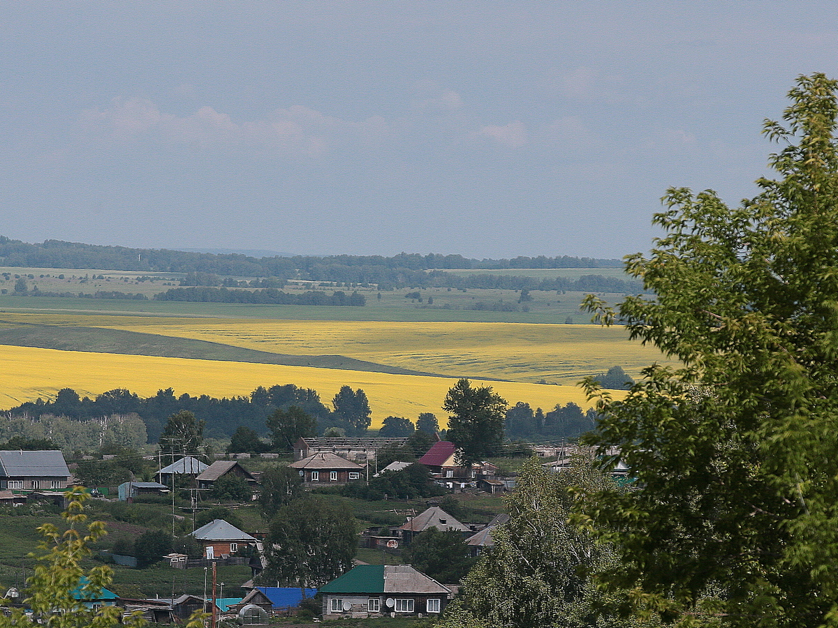 Томенко