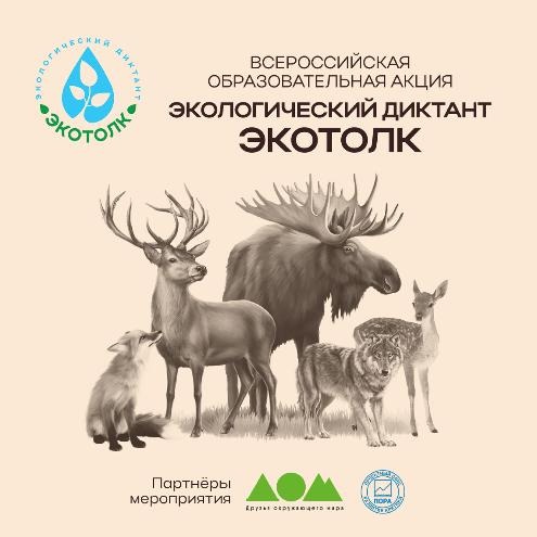диктант